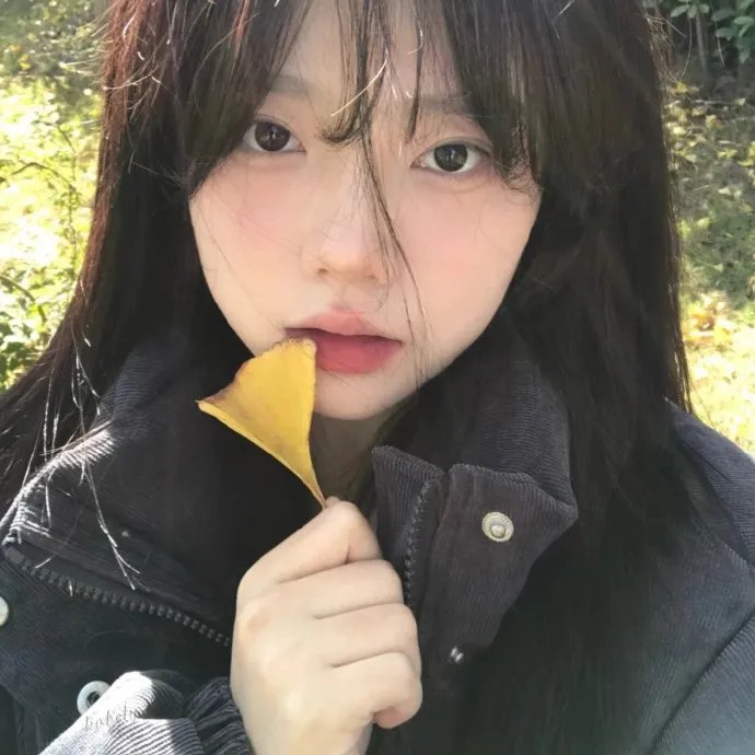 恋恋贝鲁特